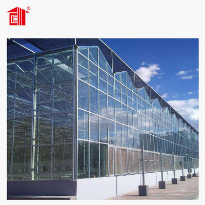 Prefab Greenhouse For Plant Growth High-Quality Building