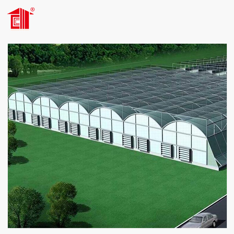 New what does a greenhouse do Suppliers for changing the growing conditions of plant-1