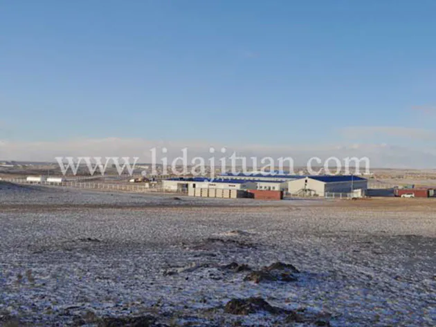 Mongolia Big Integrated Steel Structure and Container House Camp Project
