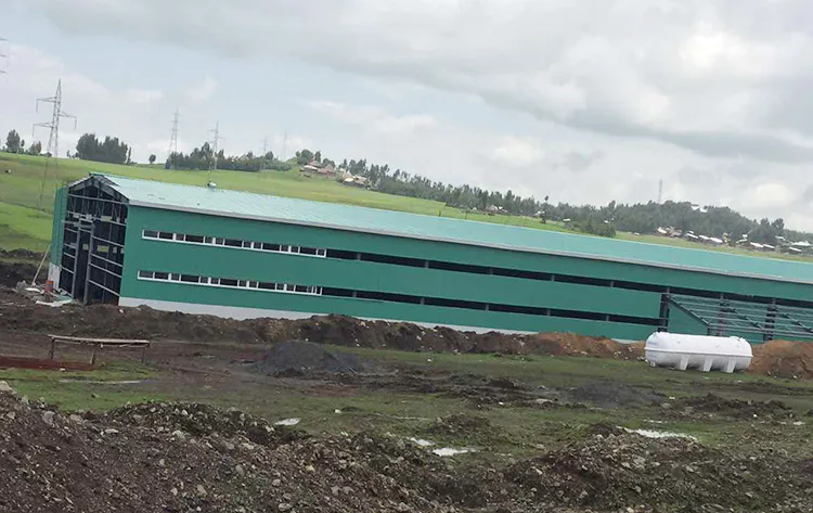 Ethiopia Steel Structure Chicken Farm Project