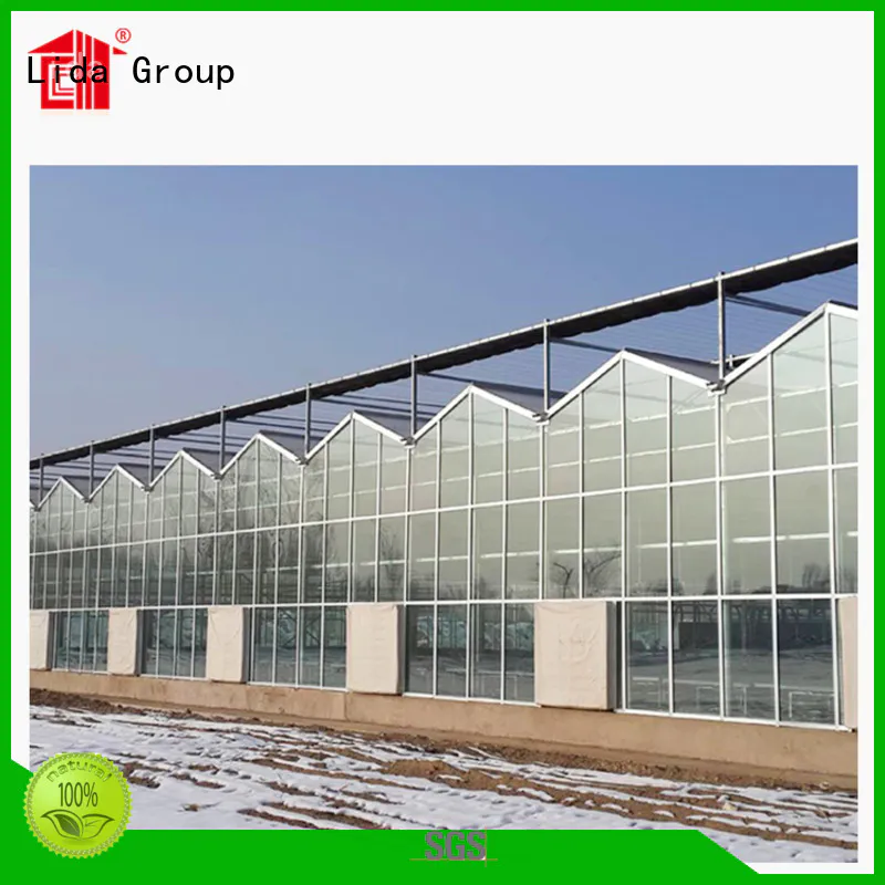 Lida Group New greenhouse uses for business for agricultural planting