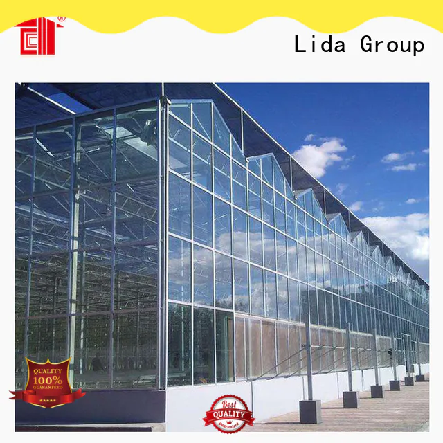 Lida Group 4x6 greenhouses for sale factory for changing the growing conditions of plant