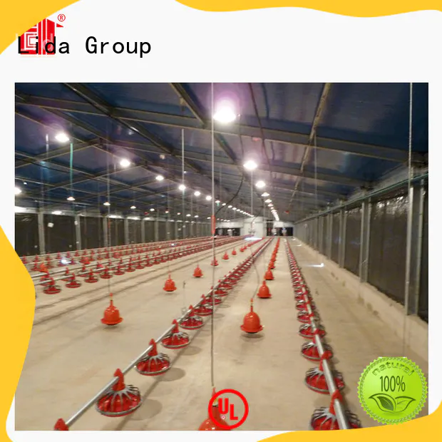 Lida Group Custom poultry shed layout company for poultry farming