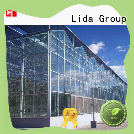 Invernadero superior de Lida Group en walmart para empresas de plantación agrícola