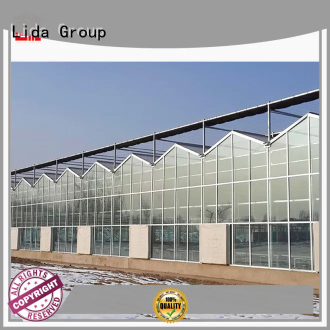 Lida Group greenhouse production manufacturers for agricultural planting