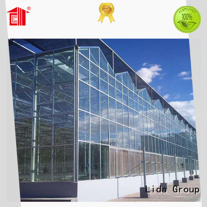 Lida Group Wholesale plastic glass house factory for agricultural planting