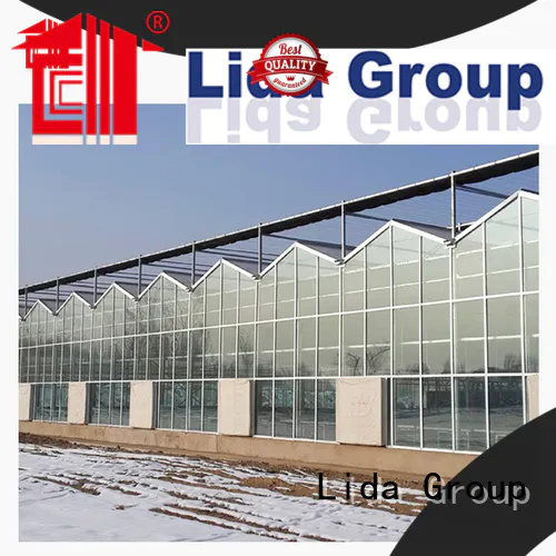 Lida Group glass greenhouses for sale company for agricultural planting