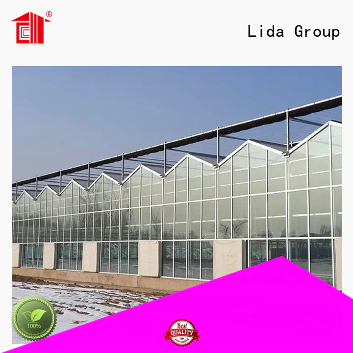Lida Group Top portable greenhouse kit factory for plant growth