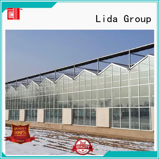 Lida Group Latest greenhouse large Supply for plant growth