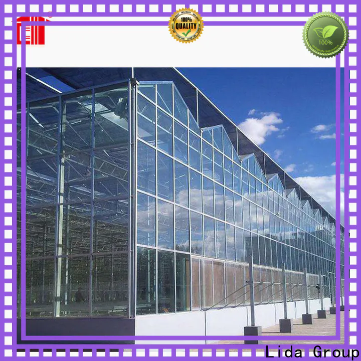 Wholesale dutch glass design manufacturers for agricultural planting