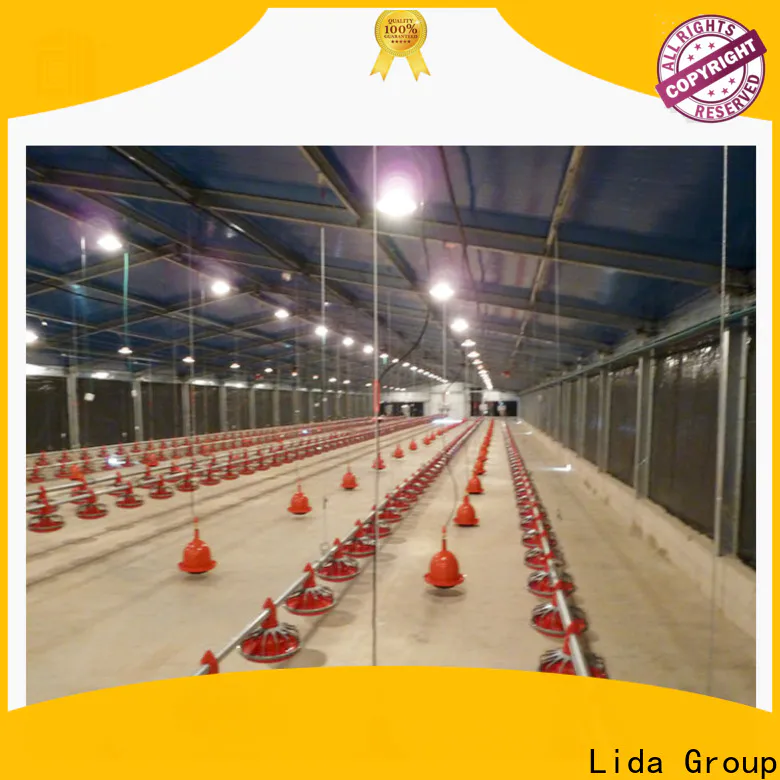 Lida Group Latest layer house poultry for business for poultry raising