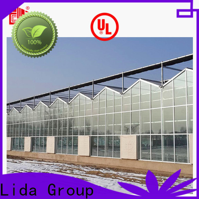 Fábrica de cubiertas de invernadero de Lida Group para el crecimiento de plantas