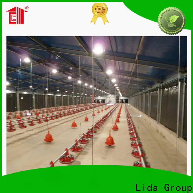 New egg poultry farm Supply for poultry farm
