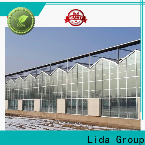 Lida Group Nuevos proveedores de producción de invernadero para plantación agrícola