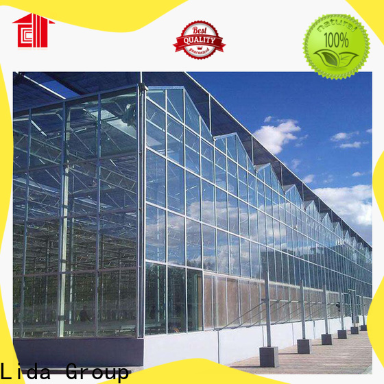 Lida Group greenhouse stores manufacturers for plant growth