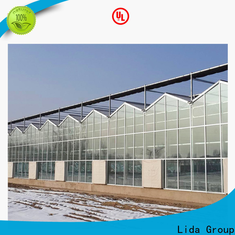 Lida Group victorian greenhouses for sale for business for plant growth
