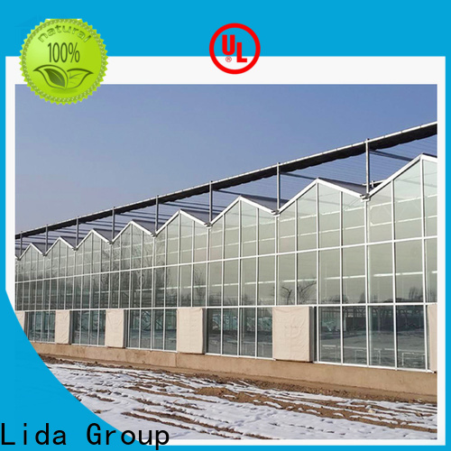 Lida Group glasshouse nursery for business for plant growth
