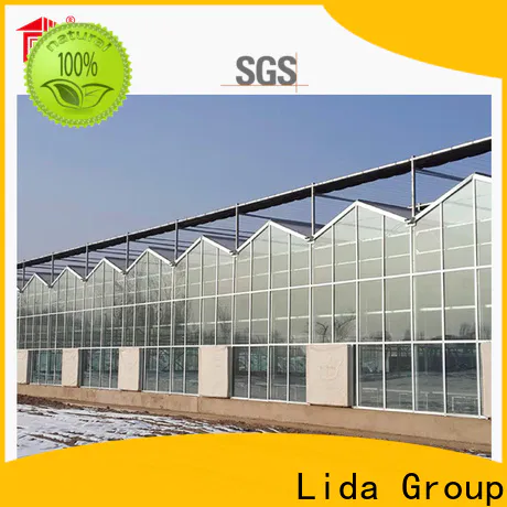 Lida Group build a greenhouse cheap for business for changing the growing conditions of plant