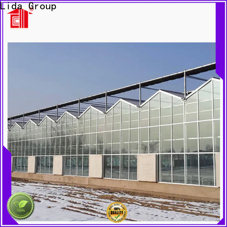 Lida Group oriental green house factory for agricultural planting