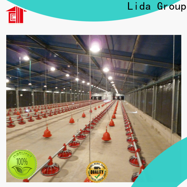 Lida Group Wholesale live chicken farm for business for poultry raising