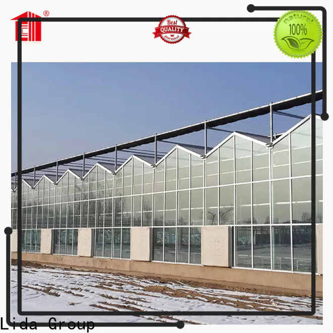 Lida Group Best greenhouse roof vent factory for plant growth