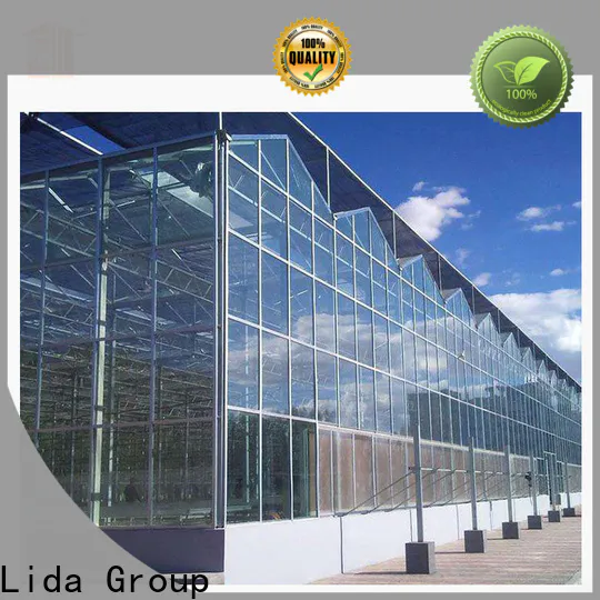Lida Group Latest green house concept factory for plant growth
