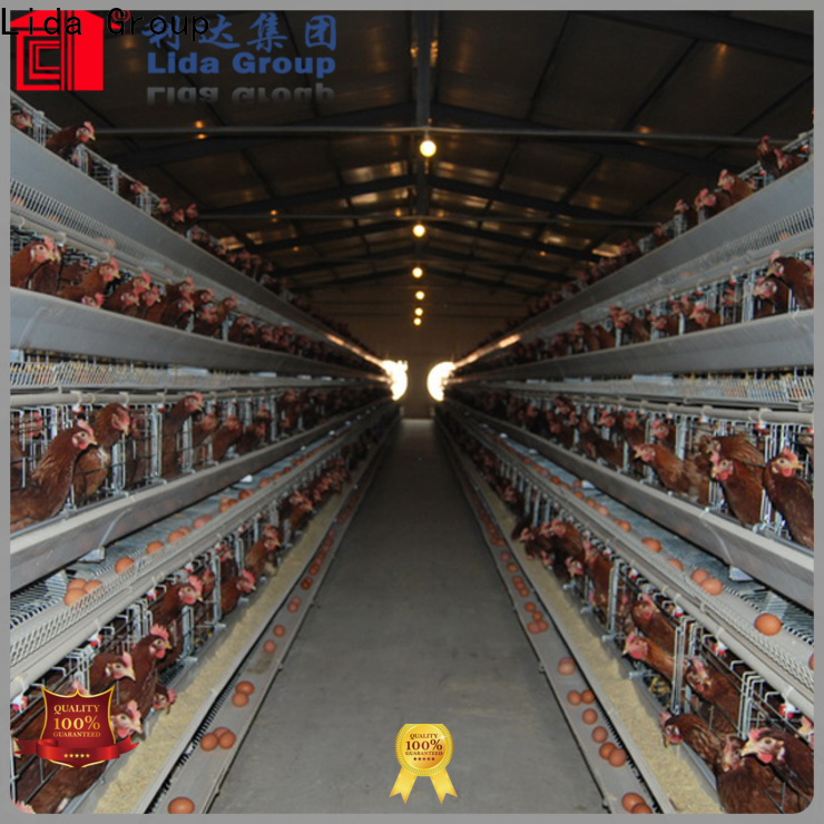 Best poultry business for sale manufacturers for poultry raising
