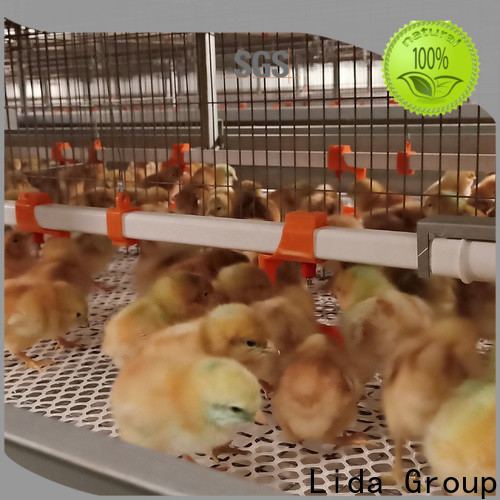Lida Group poultry pen design Supply for poultry raising