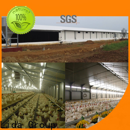 New chicken form business Suppliers for poultry raising