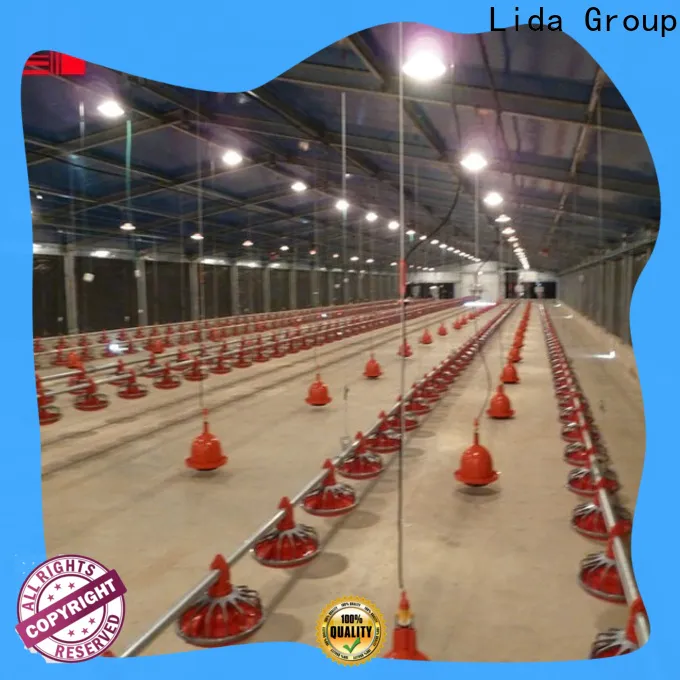 Lida Group warehouse structures for sale shipped to business used as poultry farm