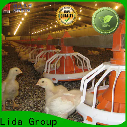 Lida Group information about poultry farming in india manufacturers for poultry farming