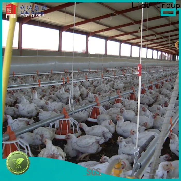 Lida Group how to start a poultry Supply for poultry farming