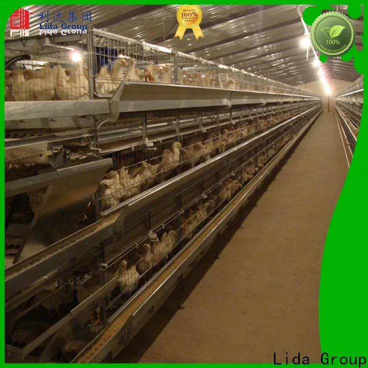 Lida Group chicken rearing business bulk buy for poultry farm
