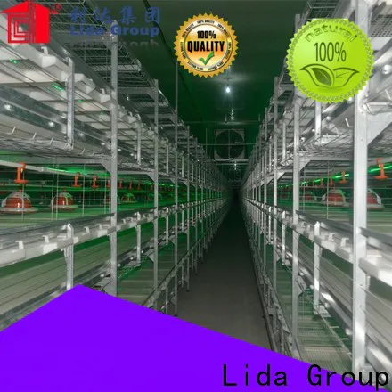 Lida Group poultry farm for sale 650k bulk buy for poultry farming