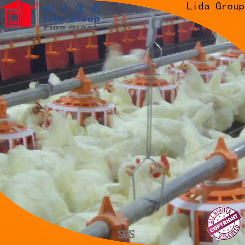 Latest how to manage poultry farm factory for poultry farm