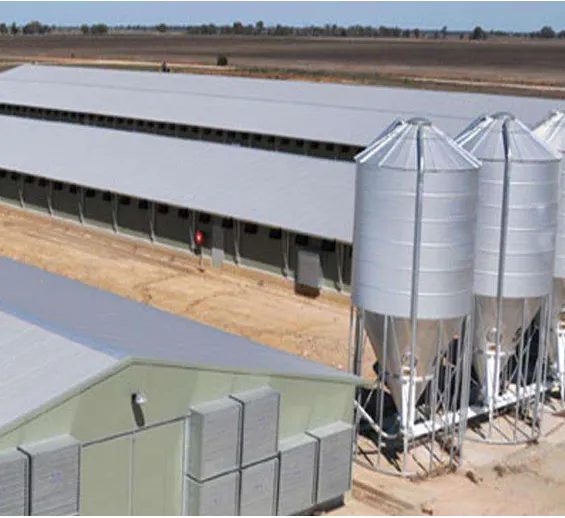 Fiji Steel Structure Chicken Farm Project