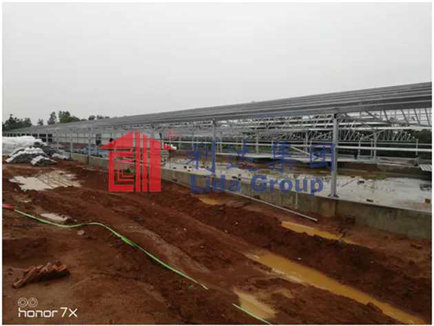 Bangladesh poultry house Project